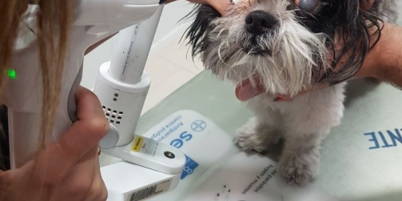 centro veterinario Confivet Torrejón centro veterinario Confivet Torrejón