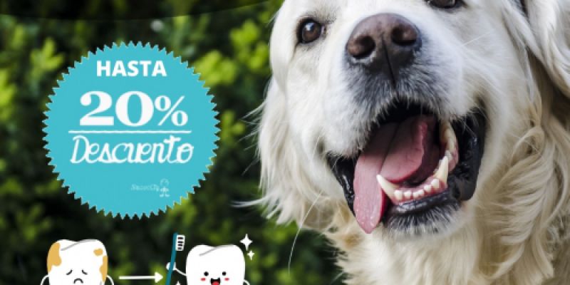 img 20230130 wa0005 img 20230130 wa0005