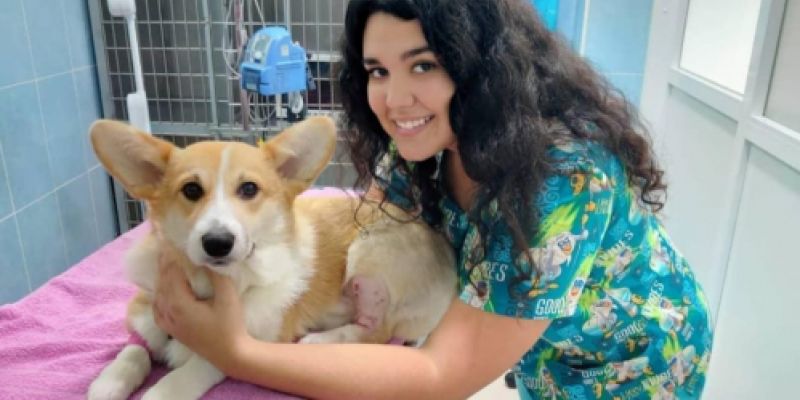 img 20220929 wa0021 img 20220929 wa0021