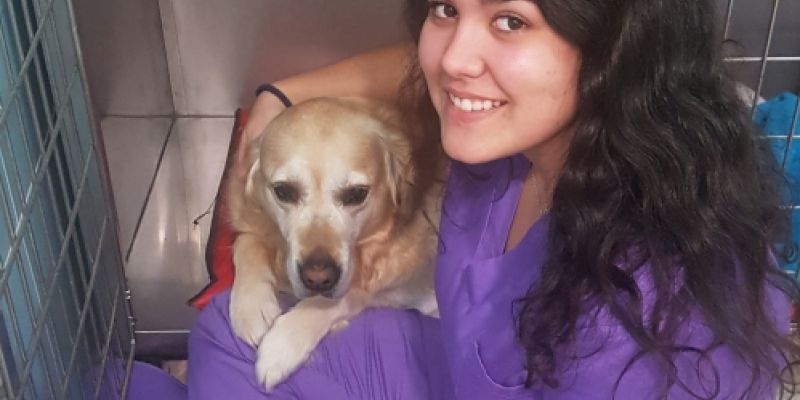 centro veterinario Confivet Torrejón Ardoz centro veterinario Confivet Torrejón Ardoz