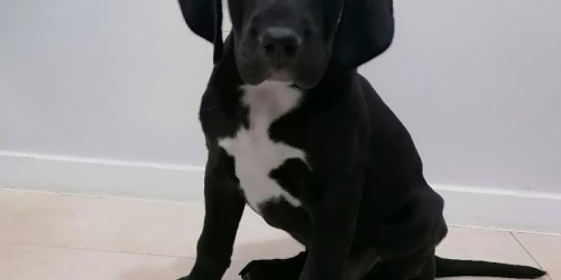 img 20220531 wa0006 img 20220531 wa0006