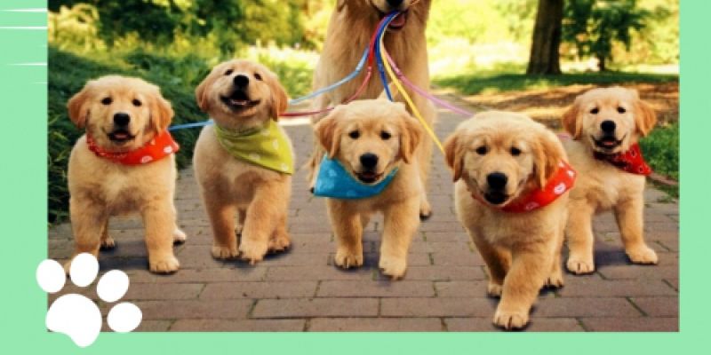 img 20230131 wa0004 img 20230131 wa0004