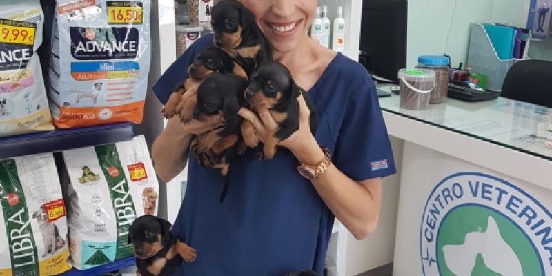 centro veterinario Confivet en Torrejón de Ardoz centro veterinario Confivet en Torrejón de Ardoz