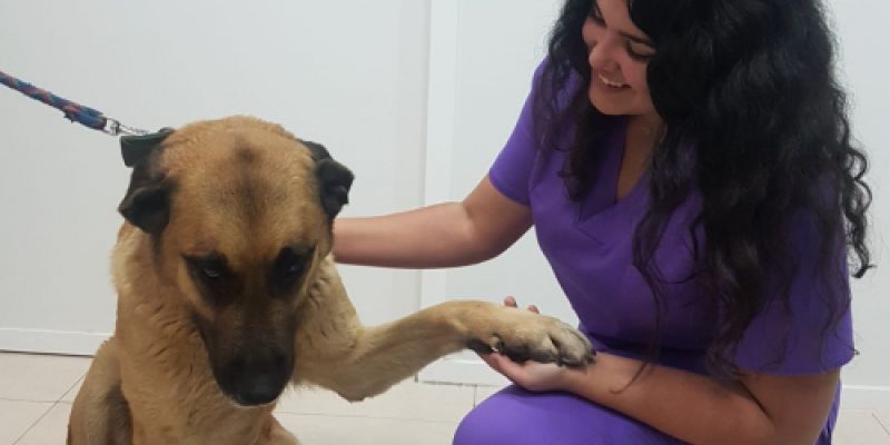 img 20220929 wa0019 img 20220929 wa0019