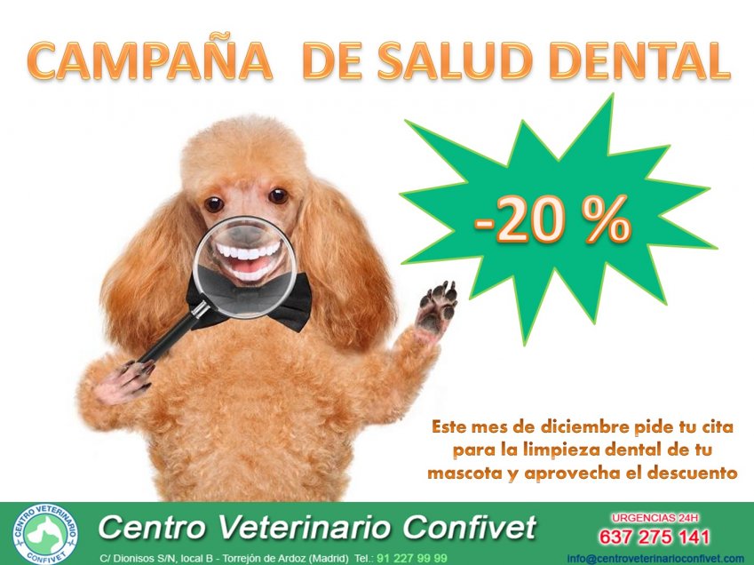 Ofertas Veterinarias En Torrejón De Ardoz Centro Veterinario Confivet 